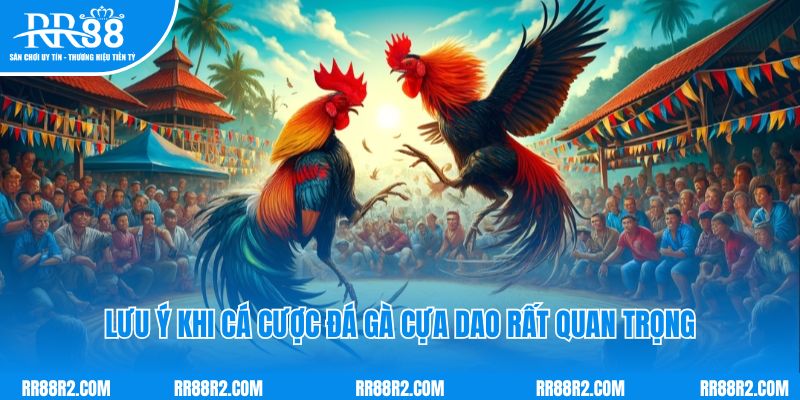 Lưu ý khi cá cược đá gà cựa dao rất quan trọng