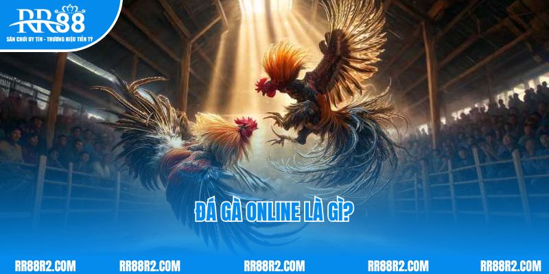 Đá gà online là gì?